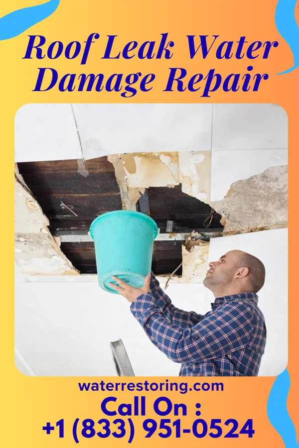 Roof Leak Water Damage Repair in Edinburg, ND